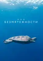  Мир безмятежности смотреть онлайн сериал 1 сезон 